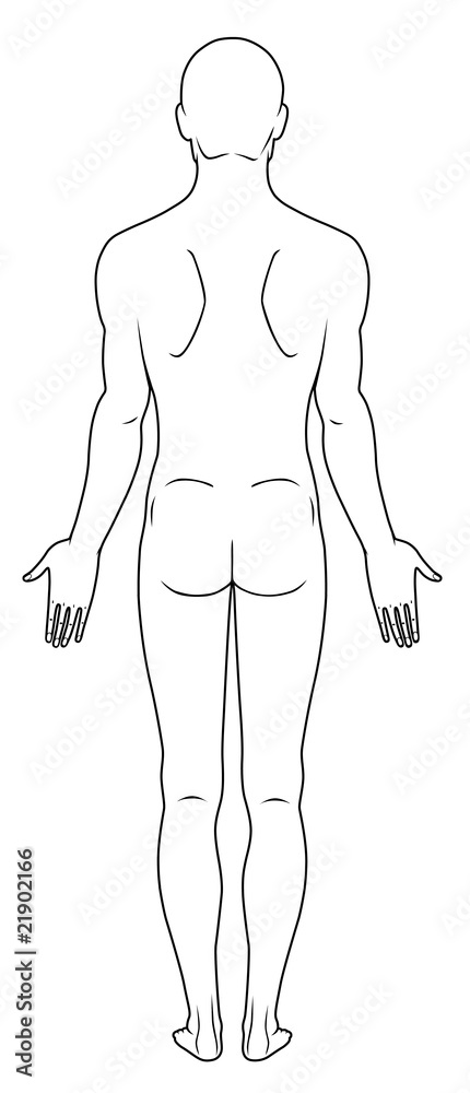 Full Length Back View Of A Standing Naked Man Stock Vector Adobe Stock