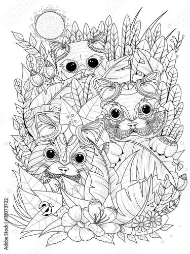 wild kitties adult coloring page