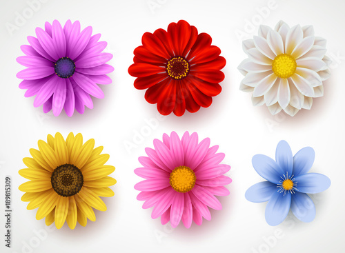 Spring flowers colorful vector set isolated in white background. Collection of daisy and sunflowers with various colors for spring season as graphic elements and decorations. Vector illustration.
