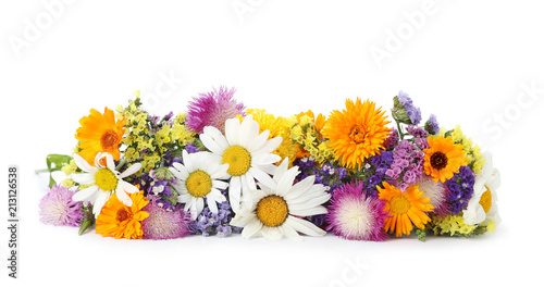 Bunch of beautiful wild flowers on white background