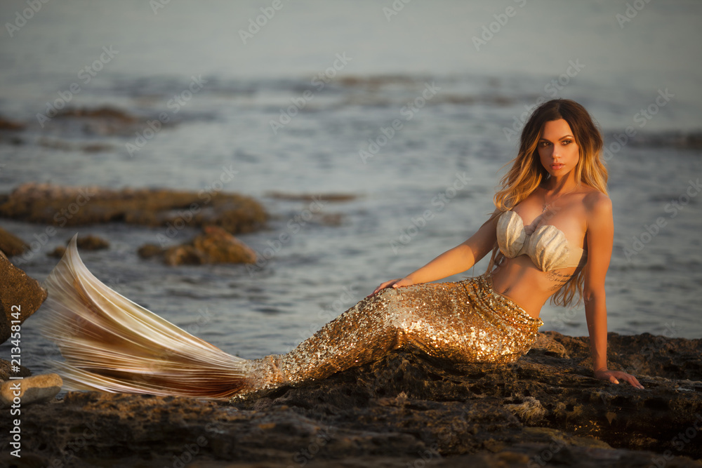 Beautiful Mermaid Sitting On A Rock Stock Photo Adobe Stock
