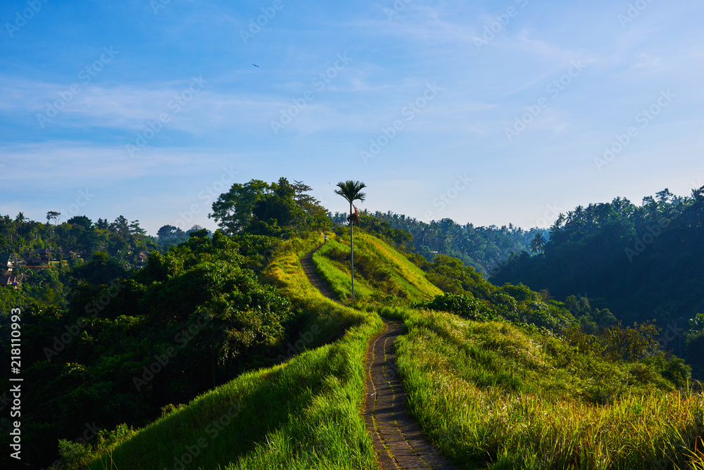 Pathway On The Ridge Of Campuhan Hill In Ubud Bali Indonesia Good