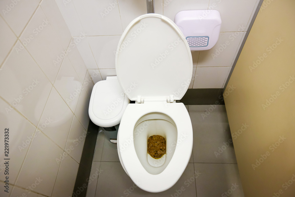 Feces In Public Toilet Users Who Forget To Flush The Toilet Dirty