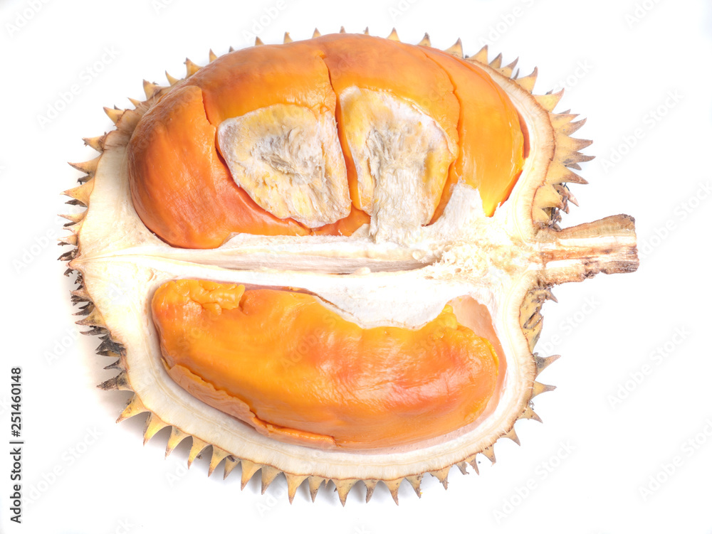 Durian Lai Durio Kutejensis Yellow Durian Of Borneo Kalimantan Stock