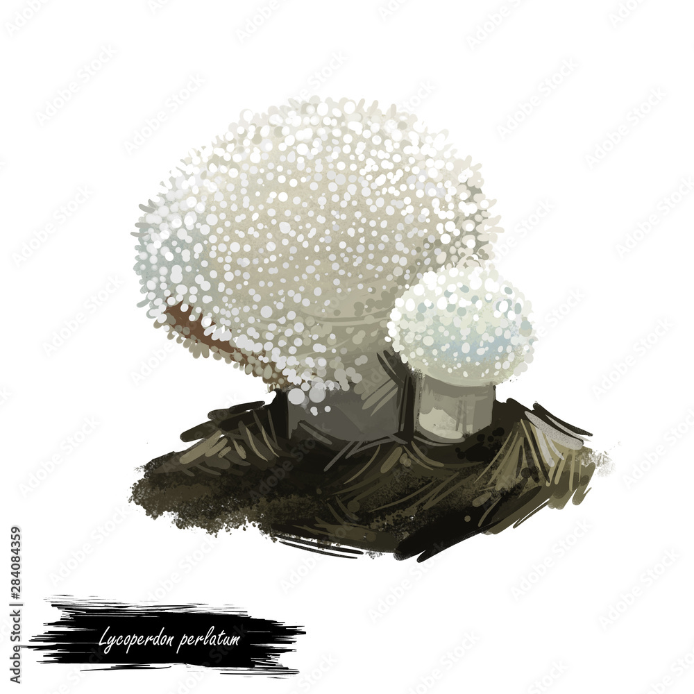 Lycoperdon Perlatum Mushroom Digital Art Illustration Gem Studded