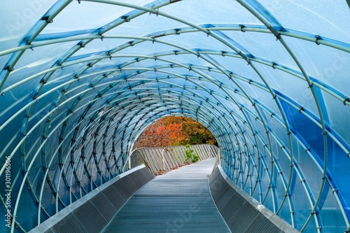 Structural glass facade curving roof and the wooden pathway inside. Abstract architecture fragment. Anyang art park in south korea