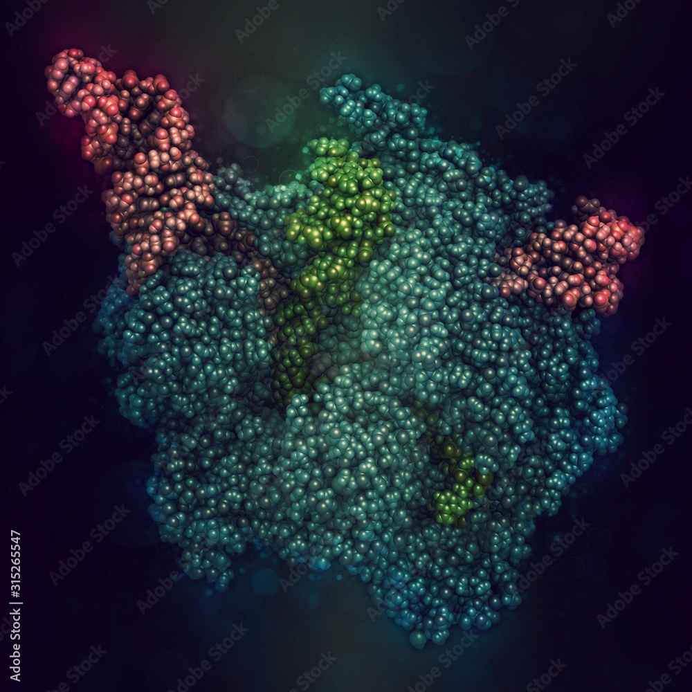 Crispr Cas Gene Editing Illustration Stock Photo Adobe Stock