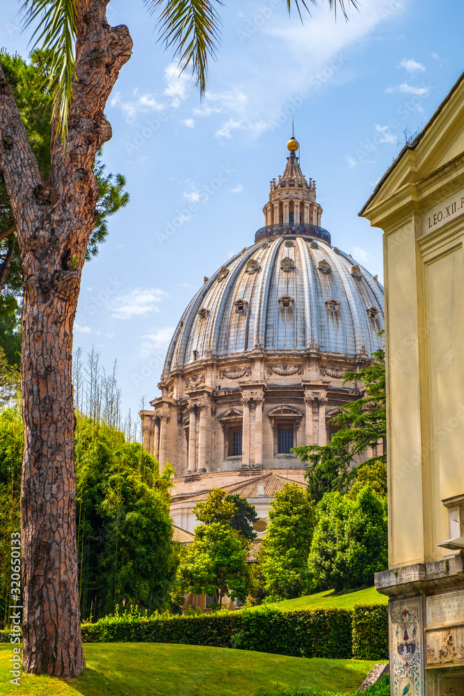 Rome Vatican City Italy Panoramic View Of St Peters Basilica