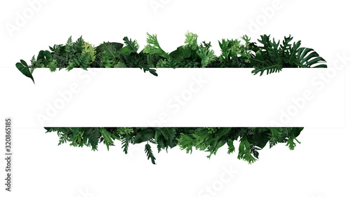 Green leaves nature frame layout of tropical plants bush  (ferns, climbing bird's nest fern, philodendrons, Monstera) foliage floral arrangement on white background with clipping path.
