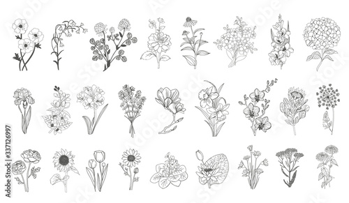 Vector set flowers illustration. 28 elements with botanical flowers outline with leaves in black isolated on white background. Ornate contour Anthurium flowers for summer design or coloring book.