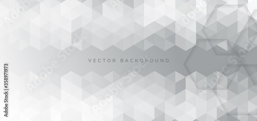 Abstract banner web white and gray geometric hexagon overlapping  technology corporate concept background with space for your text.