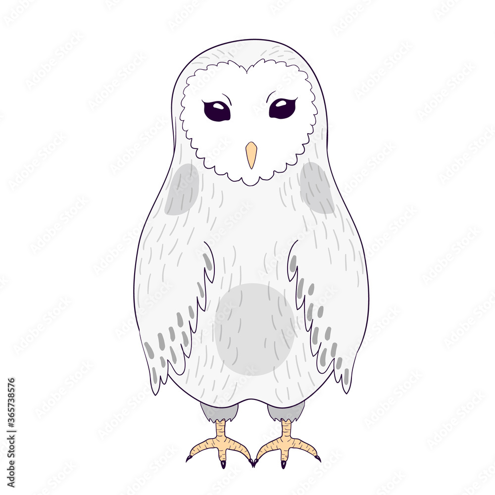 Cartoon Light Gray Barn Owl Vector Illustration Stock Vector Adobe Stock