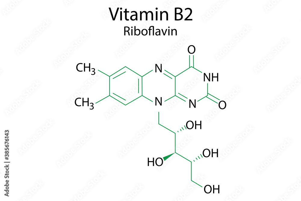 Vitamin B2 Great Design For Any Purposes Biology Science Background