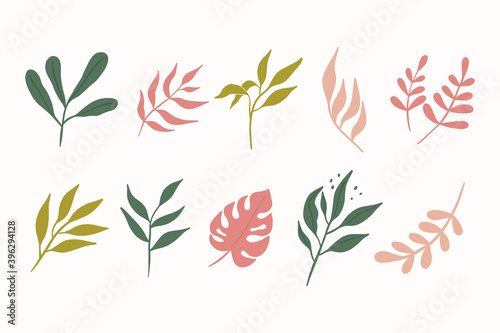 Various leaf branches hand drawn vector set. Colorful trendy illustration. All elements are isolated for your own design