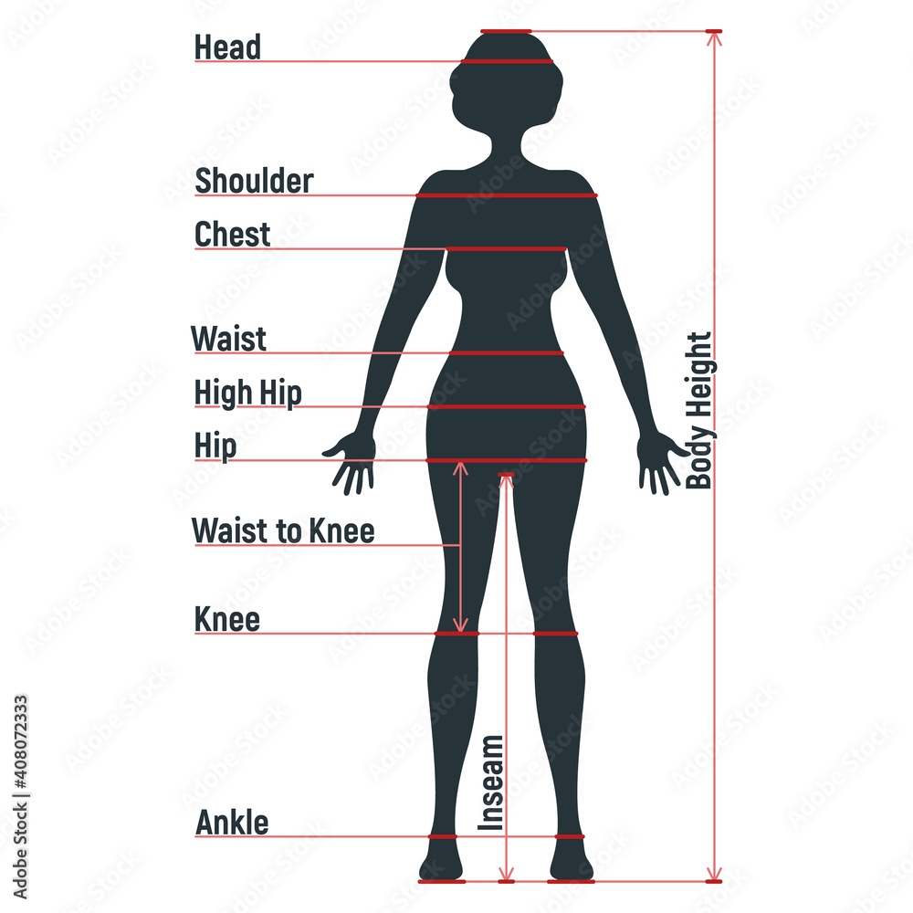 Female Size Chart Anatomy Human Character People Dummy Front And View Side Body Silhouette