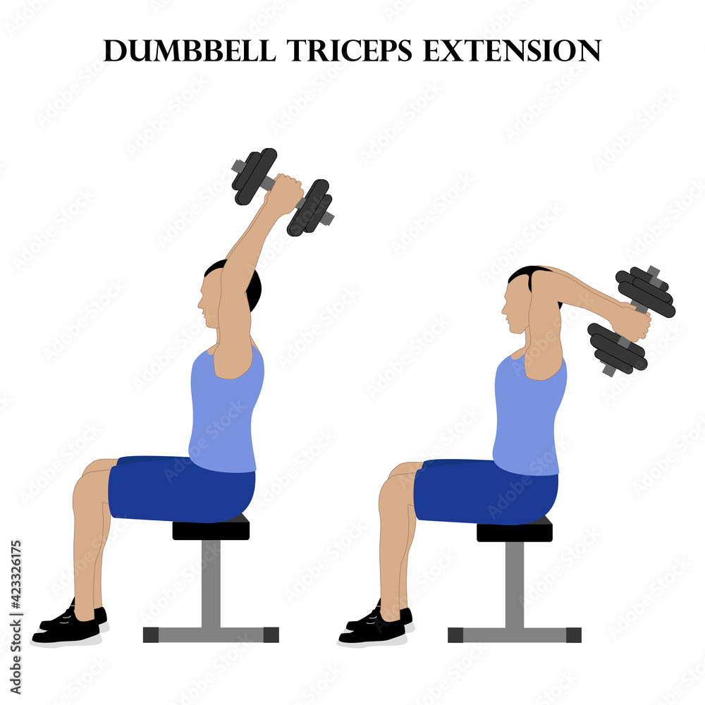 Dumbbell Triceps Extension Exercise Strength Workout Vector