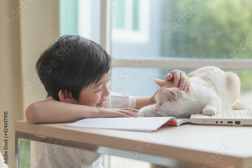 Happy Asian child playing with pet cat while doing homework