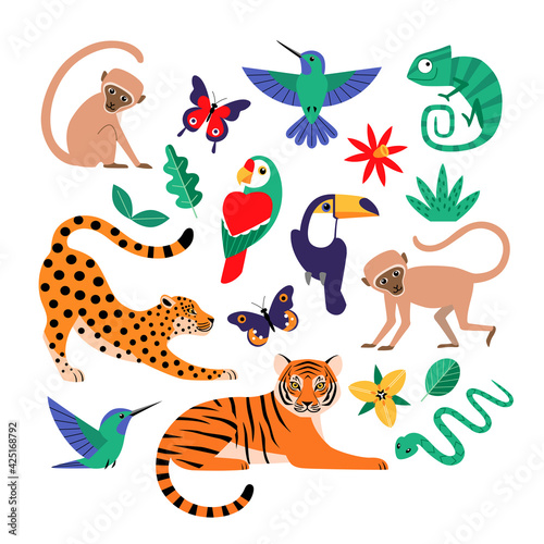 Set of tropical jungle animals, birds, butterflies, flowers and leaves isolated on white background.
