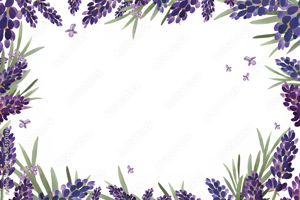 Hand Drawn Floral Frame With Lavender Flowers Rosemary