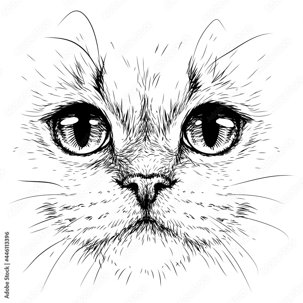 Vektorov Grafika Cat Creative Design Graphic Portrait Of A Cat In