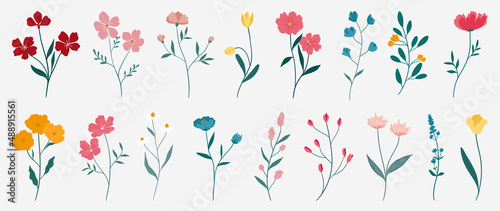 Collection of colorful floral elements in flat color. Set of spring and summer wild flowers, plants, branches, leaves and herb. Hand drawn of blossom vectors for decor, website, graphic and shop.