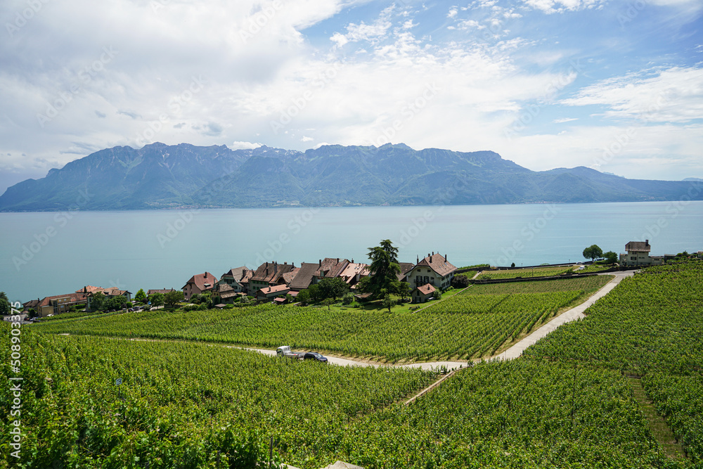 Lavaux With Its Vineyard Covered Terraces Overlooking Lake Geneva Is