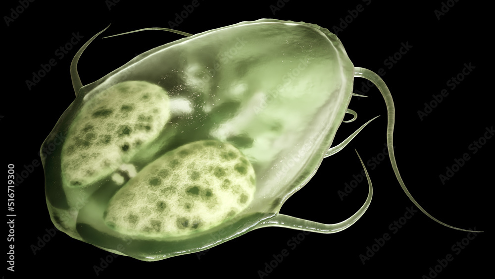 Giardia Intestinalis As Closeup 3D Rendering Stock Illustration