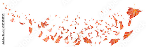  leaves autumn air wind isolated dry for background flying falling fall flight red  - 3d rendering