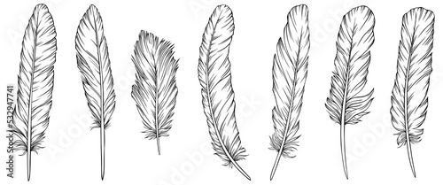 Png feathers collection. Hand drawn isolated on white background set. Vintage art illustration
