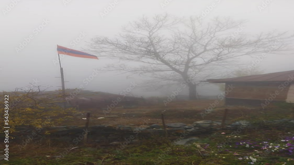 Waving Flag Tree And Fog Thick Fog Naked Tree House And Flag Of