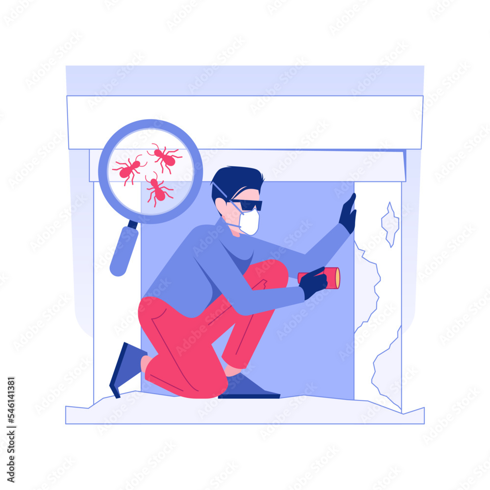 Termite Inspection Isolated Concept Vector Illustration Termite