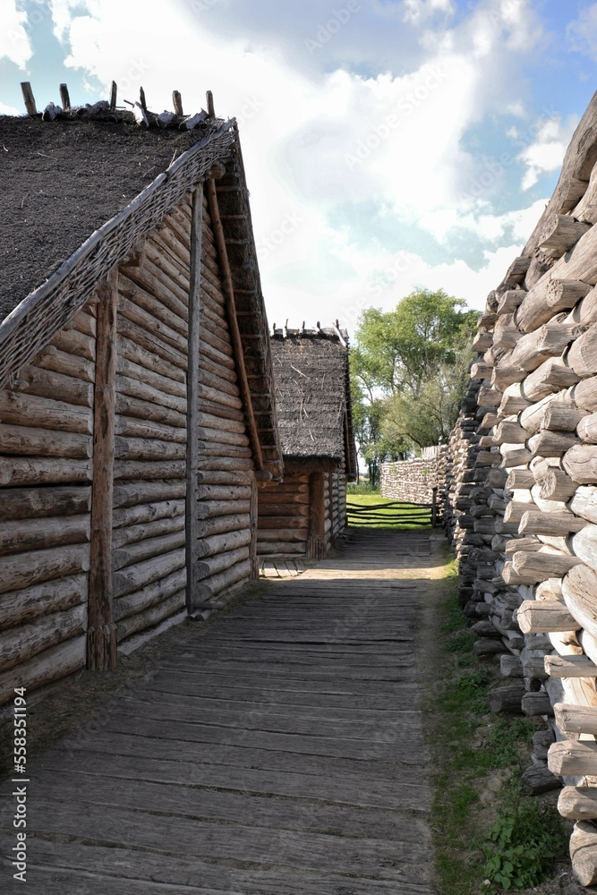 Gr D W Biskupinie Stanowisko Archeologiczne Architektura Park Stary