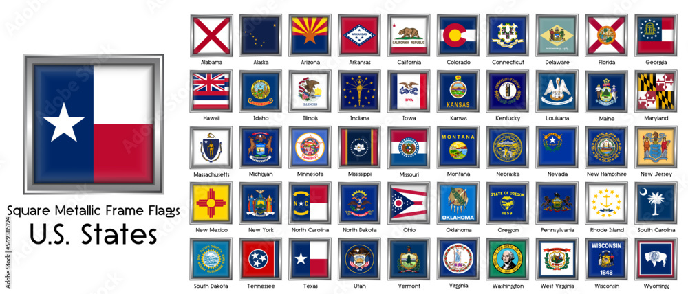 All Us State Flags With Square Metallic Button Vector Illustration