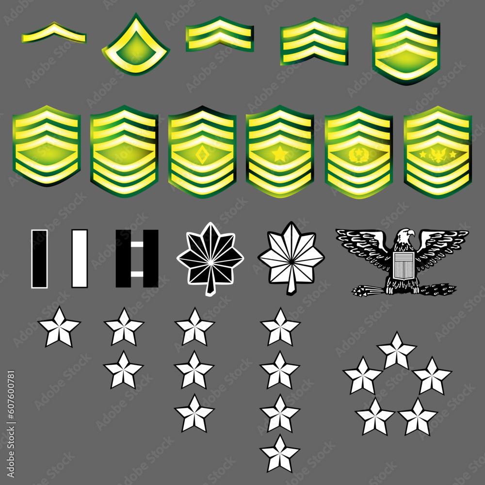 Us Army Rank Insignia For Officers And Enlisted In Vector Format With Texture Stock Vector