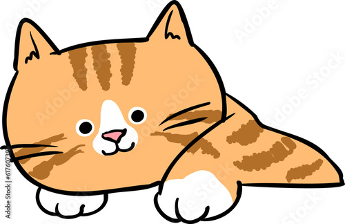 Cute Hand Drawn Cartoon Cat Head Character