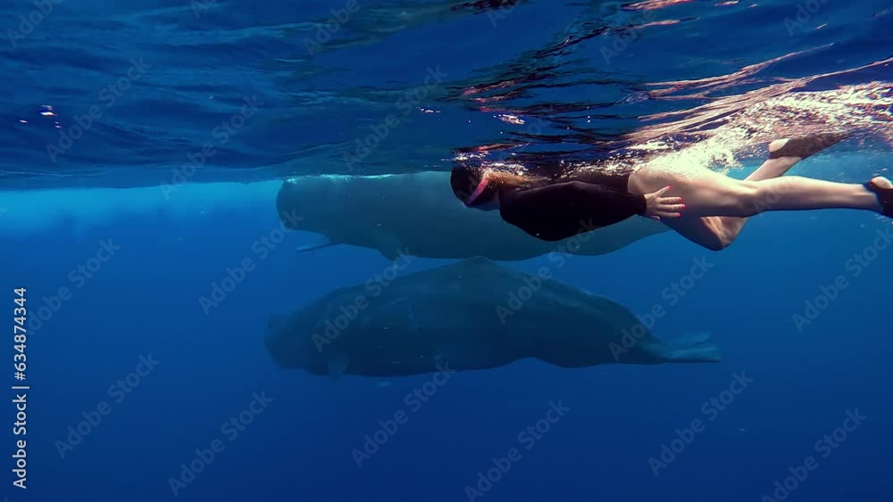 Beautiful Woman Freediving With Sperm Whales In Deep Blue Ocean Water