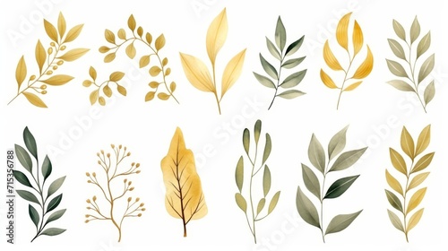Set of watercolor herbal illustrations, gold leaves. Botanical tropic composition.