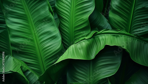 Abstract green leaf texture nature background