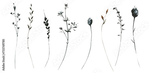 Watercolor floral set of black, gray, brown wild herbs, spikelets, branches, twigs. Traced vector drawing.
