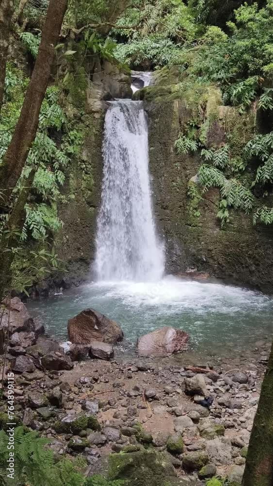 Salto Do Prego Waterfall Lost In The Rainforest Sao Miguel Island