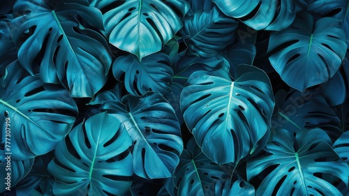 tropical leaves background at night