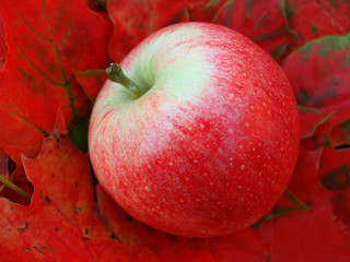 red apple