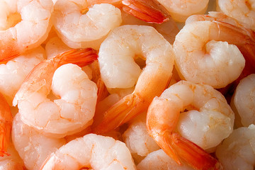 shrimps