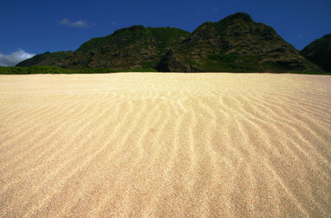 rippled sand landscape