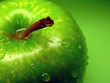 Leinwandbild Motiv green apple