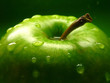 Leinwandbild Motiv green apple