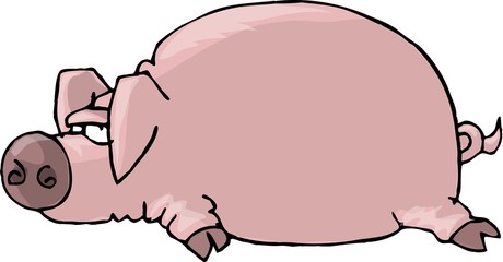 Wall Mural - pig lying flat