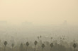 © Cathy Frost - los angeles smog
