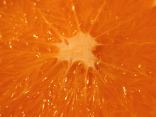 Orange Pulp