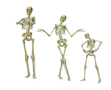 Funny Skeletons